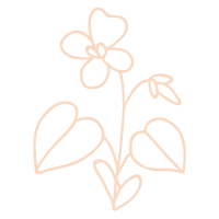 d-flower-01